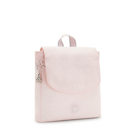 Mochilas Kipling Dannie Small Morados Rosas | MX 1551UZ